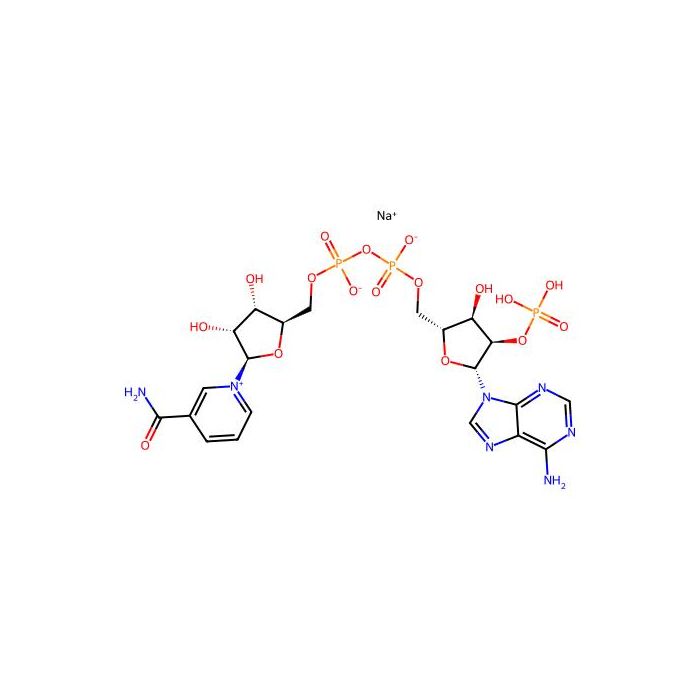 NADP sodium salt - Moligand™, 10 mM in Water CAS No(1184-16-3) by Aladdin Scientific