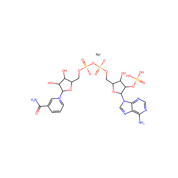 β-NADP-Na(NADP) - ≥93% CAS No(1184-16-3) by Aladdin Scientific
