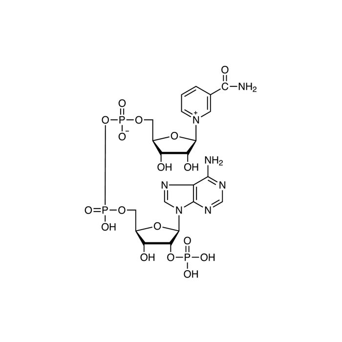 β-Nicotinamide adenine dinucleotide phosphate - Moligand™, ≥90% CAS No(53-59-8) N303921 by Aladdin Scientific