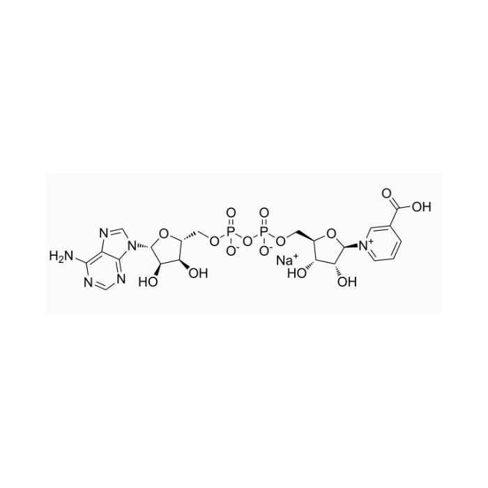 Nicotinic acid adenine dinucleotide sodium salt (NAAD Na) - Moligand™, ≥98% CAS No(104809-30-5) by Aladdin Scientific