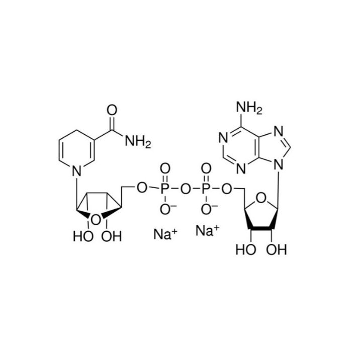 β-NADH - 10mM in DMSO CAS No(606-68-8) by Aladdin Scientific