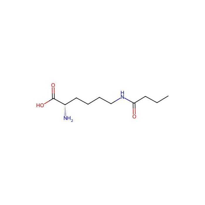 N6-Butyryl-L-lysine -  CAS No(75396-30-4) by Aladdin Scientific