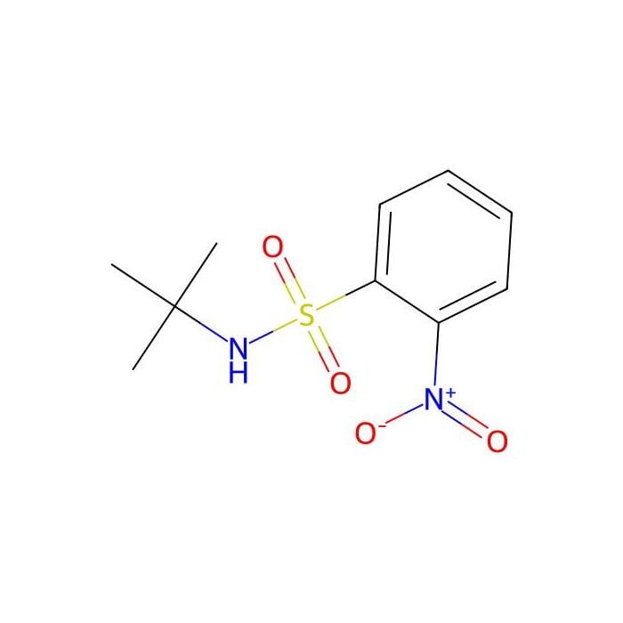 N-(tert-Butyl)-2-nitrobenzenesulfonamide - ≥98% CAS No(363587-67-1) by Aladdin Scientific