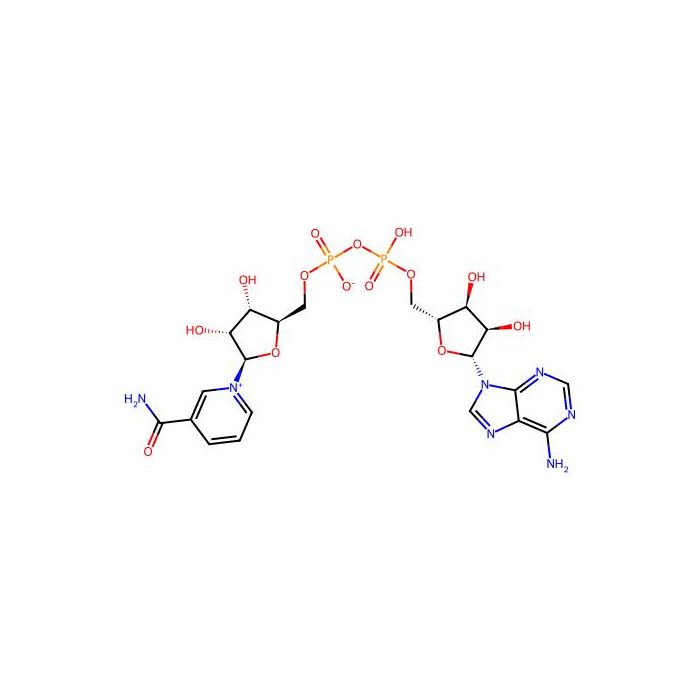 β-Nicotinamide adenine dinucleotide hydrate - ≥99%, purified by column chromatography CAS No(53-84-9) by Aladdin Scientific