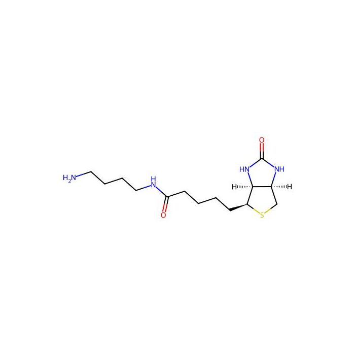 N-(4-Aminobutyl)-5-((3aS，4S，6aR)-2-oxohexahydro-1H-thieno[3，4-d]imidazol-4-yl)pentanamide - ≥95% CAS No(151294-96-1) by Aladdin Scientific