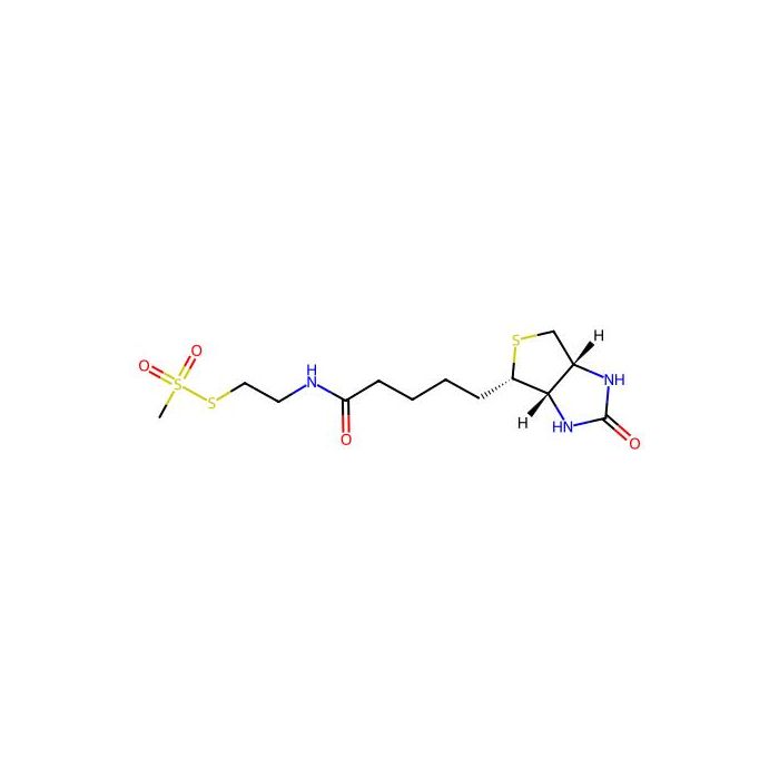 N-Biotinylaminoethyl methylthiosulphonate -  CAS No(162758-04-5) by Aladdin Scientific