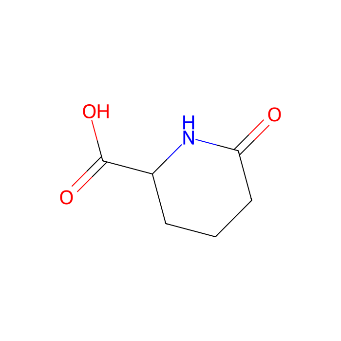 (S)-6-Oxo-2-piperidinecarboxylic acid - ≥95% CAS No(34622-39-4) by Aladdin Scientific