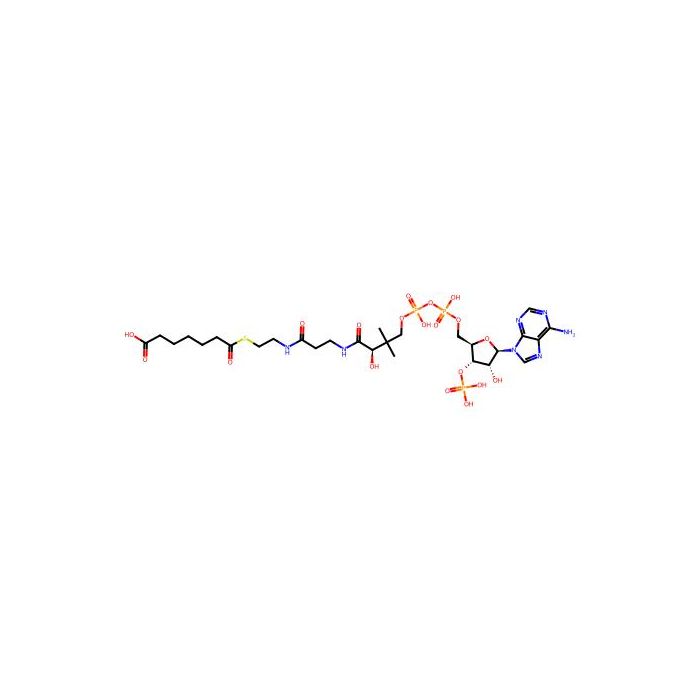 Pimeloyl-coa -  CAS No(18907-20-5) by Aladdin Scientific