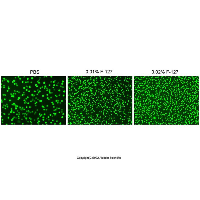 Permeabilizer Pluronic F-127 (10% in H₂O) - BioReagent,for fluorescence analysis,for cell culture,sterile,10% CAS No(9003-11-6) P1516104 by Aladdin Scientific