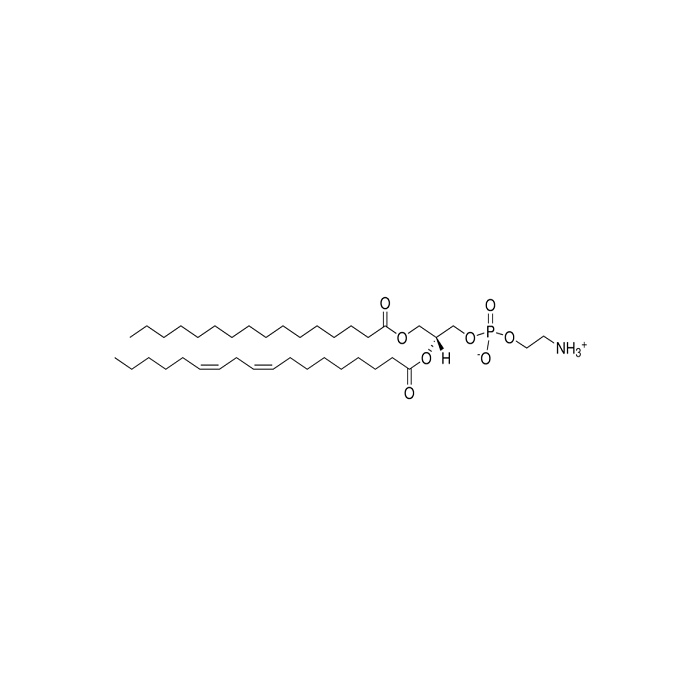 1-Palmitoyl-2-linoleoyl PE - ≥98% CAS No(26662-95-3) by Aladdin Scientific