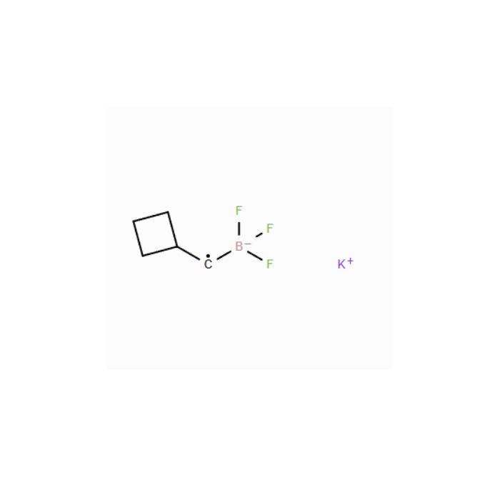 Potassium cyclobutylmethyltrifluoroborate - ≥98% CAS No(2135480-21-4) P666186 by Aladdin Scientific