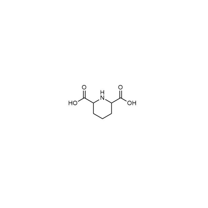 Piperidine-2,6-dicarboxylic acid - ≥95% CAS No(499-82-1) by Aladdin Scientific