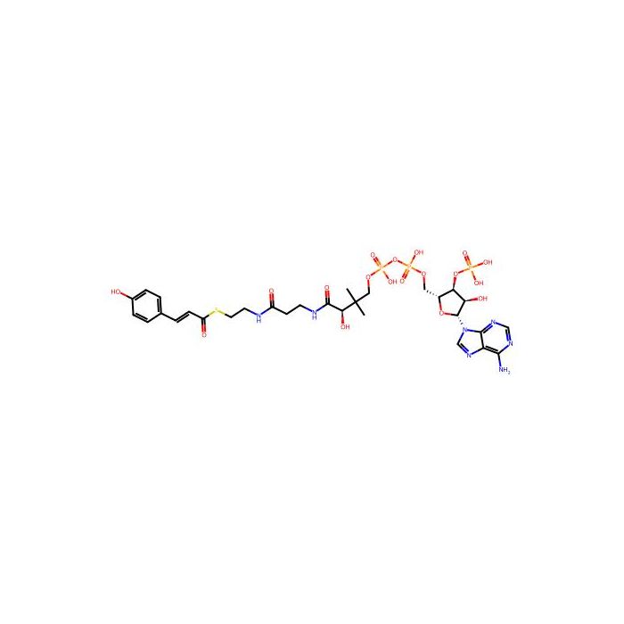 p-Coumaryl-Coenzyme A - ≥95% CAS No(119785-99-8) by Aladdin Scientific