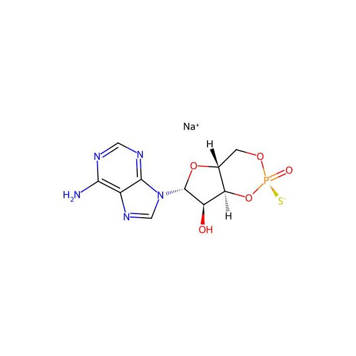 Rp-cAMPS sodium salt - Moligand™, 10 mM in Water CAS No(142439-94-9) by Aladdin Scientific