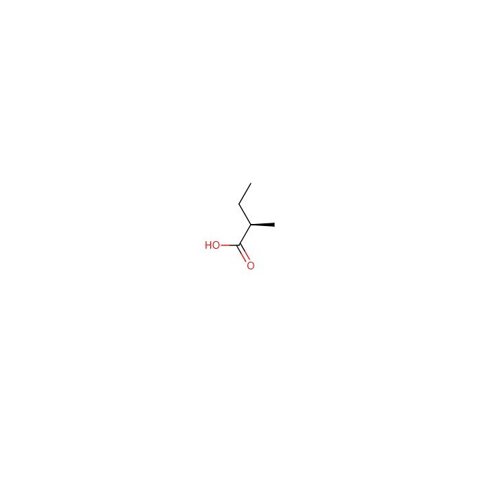(R)-2-Methylbutanoic acid - ≥95% CAS No(32231-50-8) by Aladdin Scientific