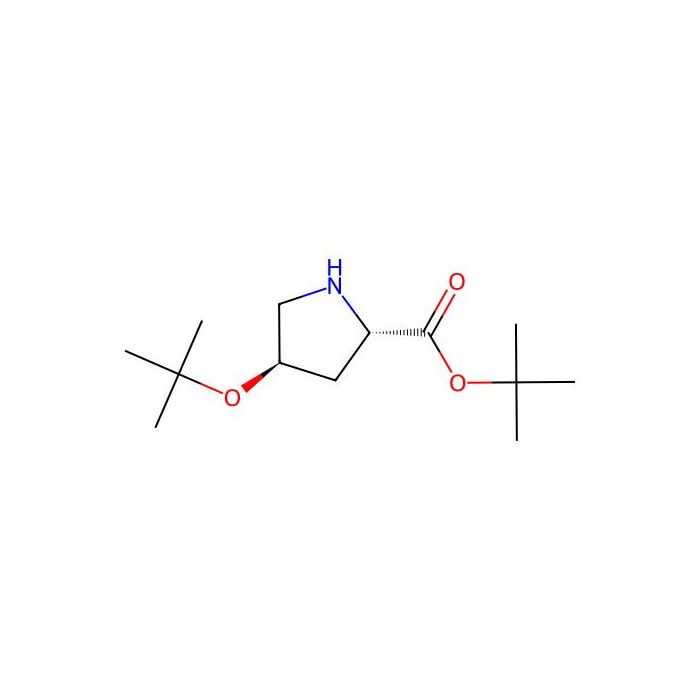 (2S,4R)-tert-Butyl 4-(tert-butoxy)pyrrolidine-2-carboxylate - ≥97% CAS No(93527-54-9) by Aladdin Scientific