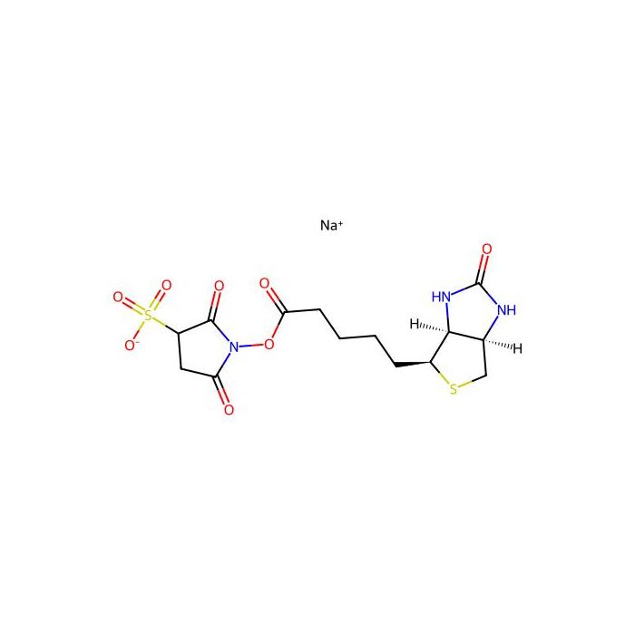 Sulphosuccinimido biotin -  CAS No(194041-65-1) by Aladdin Scientific