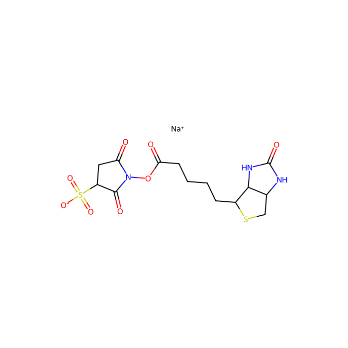 Sulfo-NHS-Biotin - ≥85% CAS No(119616-38-5) by Aladdin Scientific
