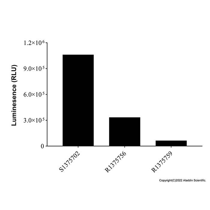 Sea kidney luciferase reporter gene detection kit (flash type)