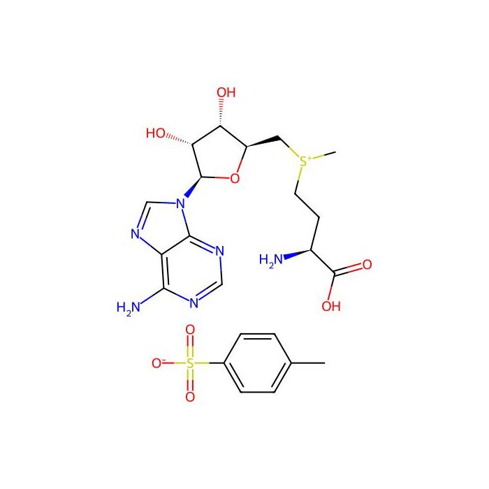 S-Adenosyl-L-methionine tosylate - Moligand™, 10 mM in Water CAS No(52248-03-0) by Aladdin Scientific