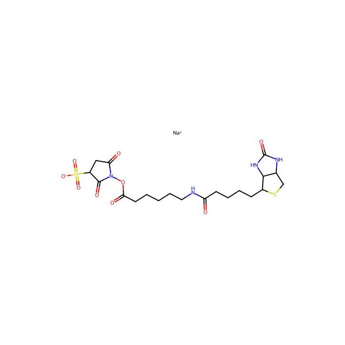Sulfo-NHS-LC-Biotin sodium - Moligand™, 10 mM in DMSO CAS No(191671-46-2) by Aladdin Scientific