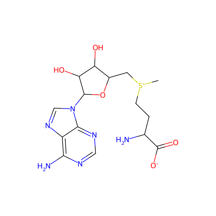 S-Adenosyl-L-methionine（SAM） - Moligand™, ≥98% CAS No(29908-03-0) by Aladdin Scientific