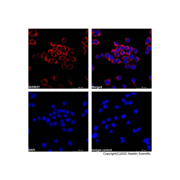 Recombinant Streptavidin Protein (Texas red) -    by Aladdin Scientific