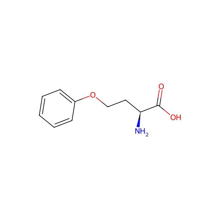 (2S)-2-amino-4-phenoxybutanoic acid - ≥98% CAS No(52161-82-7) by Aladdin Scientific