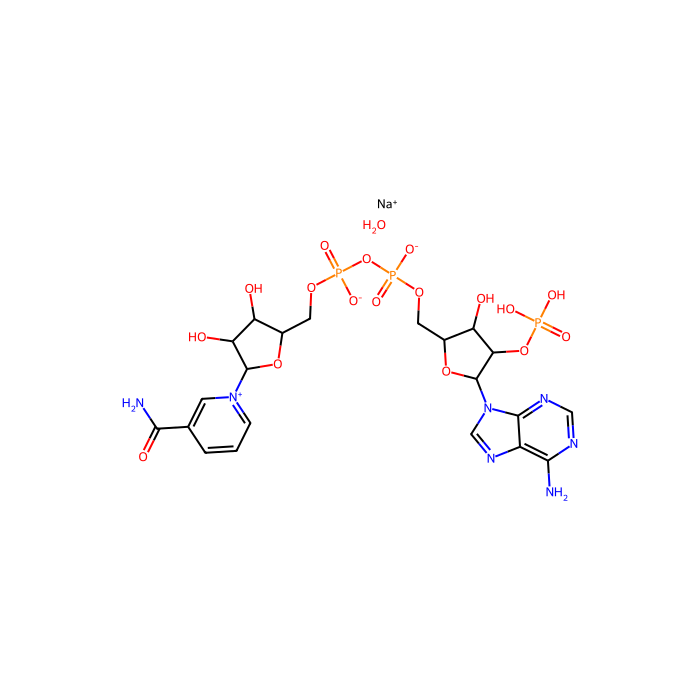 Triphosphopyridine nucleotide sodium salt hydrate - ≥98%(HPLC) CAS No(698999-85-8) by Aladdin Scientific
