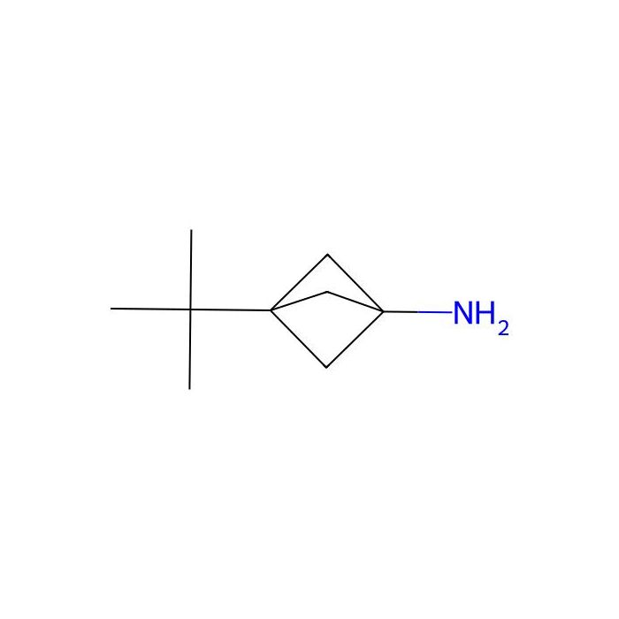 3-tert-butylbicyclo[1.1.1]pentan-1-amine hydrochloride - ≥97% CAS No(1886967-57-2) by Aladdin Scientific