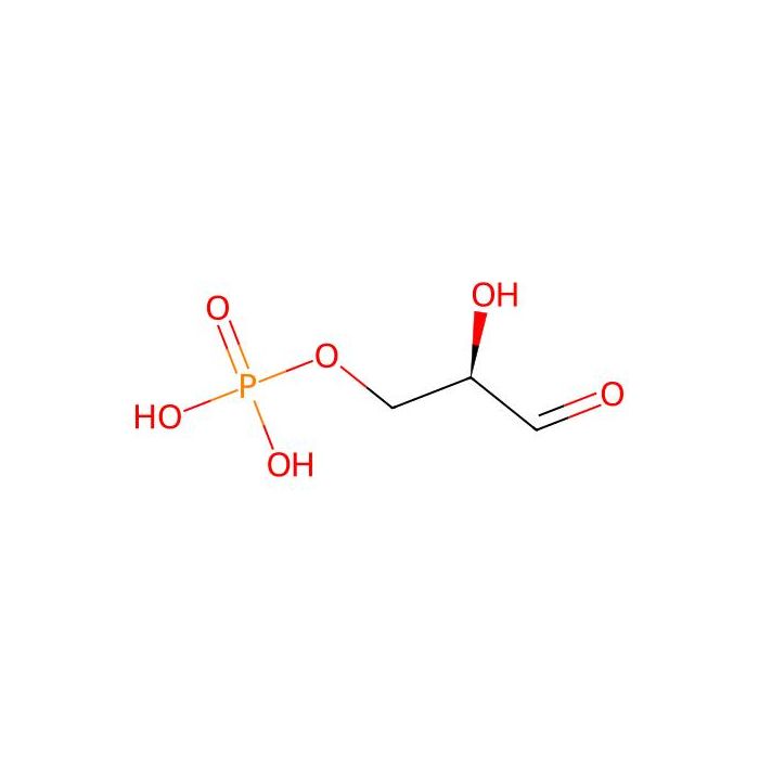 Triose phosphate - ≥97%, 10mg/mL solution in water CAS No(591-57-1) by Aladdin Scientific