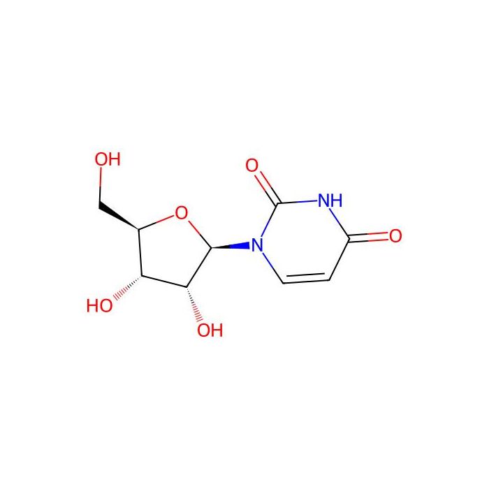 Uridine - UltraBio™, ≥99% CAS No(58-96-8) by Aladdin Scientific