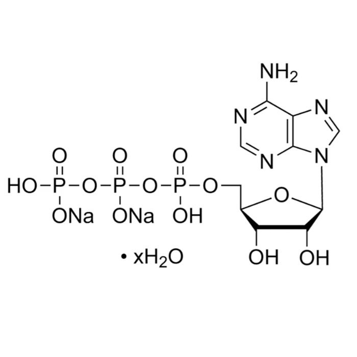 Adenosine 5'-Triphosphate Disodium Salt Hydrate - for cell culture, Moligand™, ≥99% CAS No(34369-07-8) by Aladdin Scientific