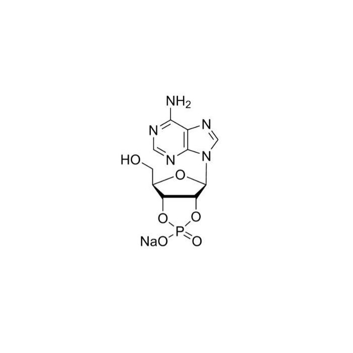 Adenosine 2′:3′-cyclic monophosphate sodium salt - ≥97% CAS No(37063-35-7) by Aladdin Scientific
