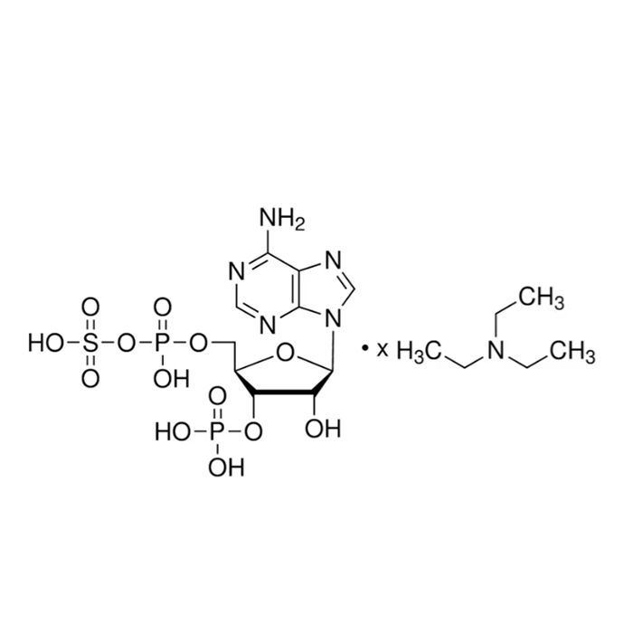 Adenosine 3′-Phosphate 5′-Phosphosulfate Triethylammnonium Salt - ≥90.0% (HPLC) CAS No(936827-87-1) by Aladdin Scientific