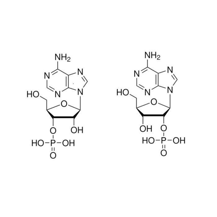 Adenosine 2′(3′)-monophosphate mixed isomers - ≥97% CAS No(130-49-4) by Aladdin Scientific