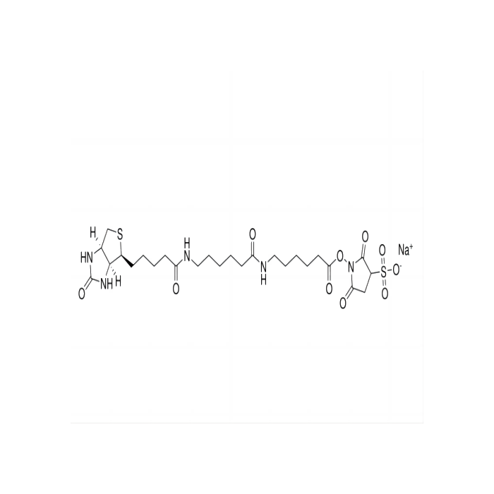 Aladdin™ Sulfo NHS-LC-LC-Biotin - ≥95% CAS No(194041-66-2) by Aladdin Scientific