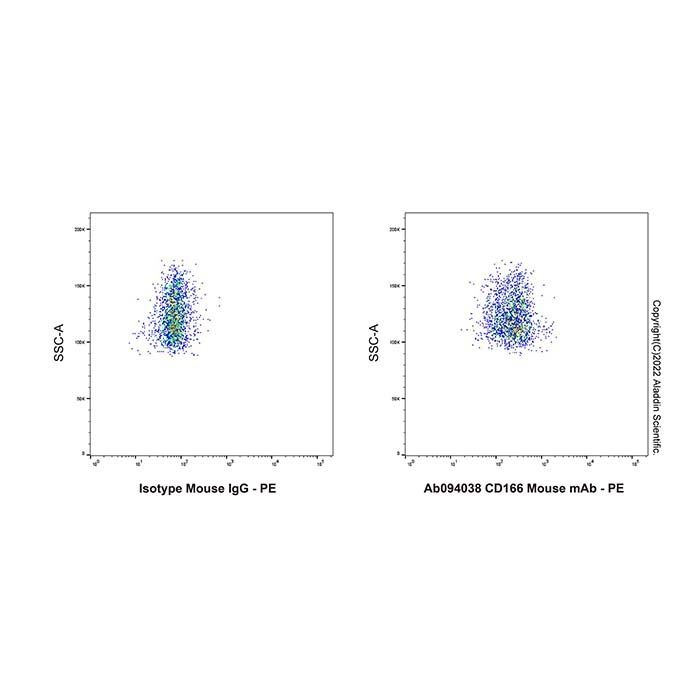 CD166 Mouse mAb - by Aladdin Scientific