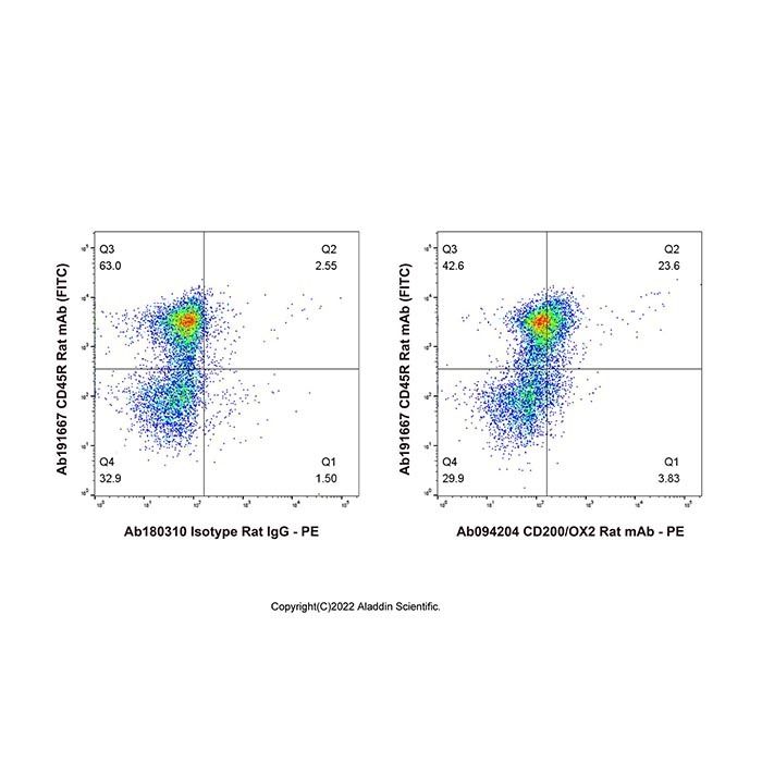 CD200/OX2 Rat mAb - by Aladdin Scientific