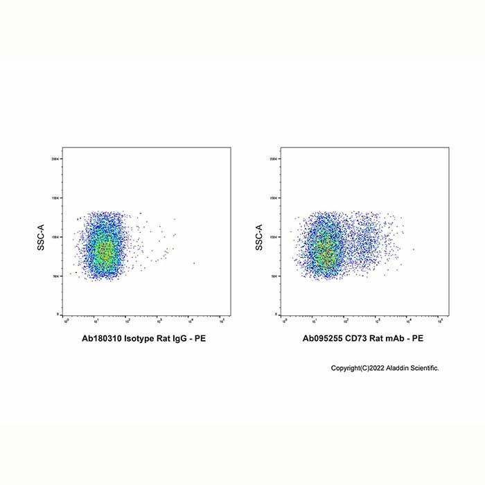 CD73 Rat mAb -    by Aladdin Scientific