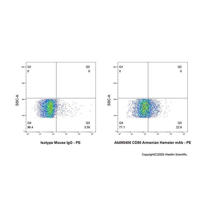 CD80 Armenian Hamster mAb -    by Aladdin Scientific