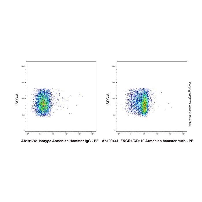 IFNGR1/CD119 Armenian hamster mAb -    by Aladdin Scientific