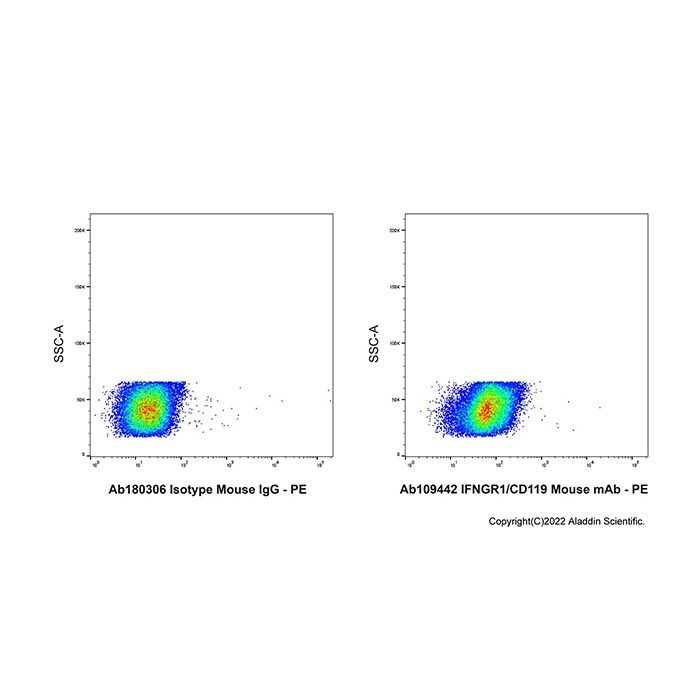 IFNGR1/CD119 Mouse mAb - by Aladdin Scientific