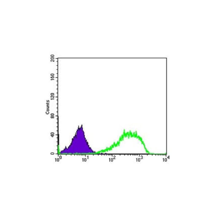 Ku80 Mouse mAb -    by Aladdin Scientific