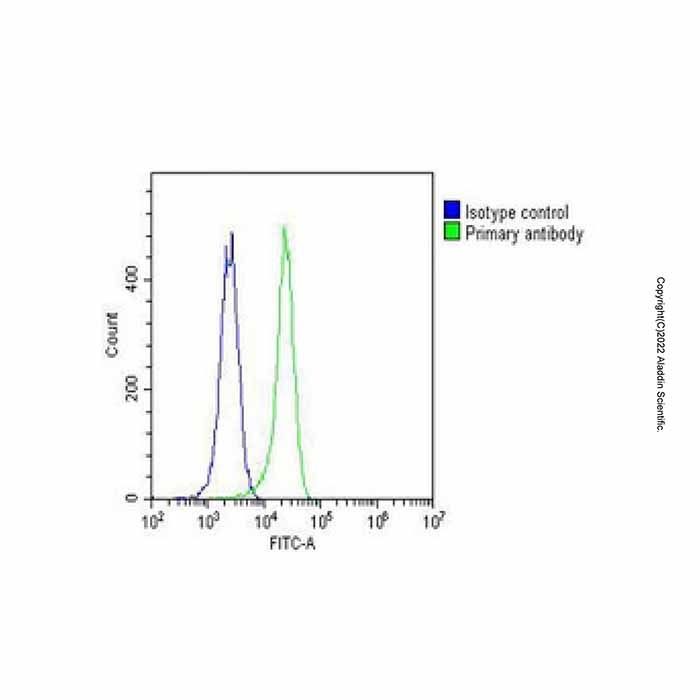 MKRN2 Mouse mAb -    by Aladdin Scientific