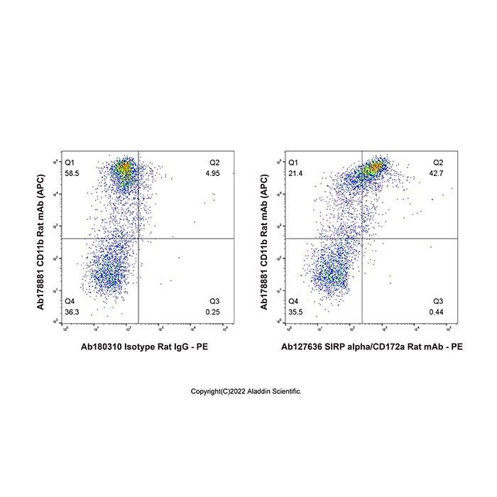 SIRP alpha/CD172a Rat mAb - by Aladdin Scientific