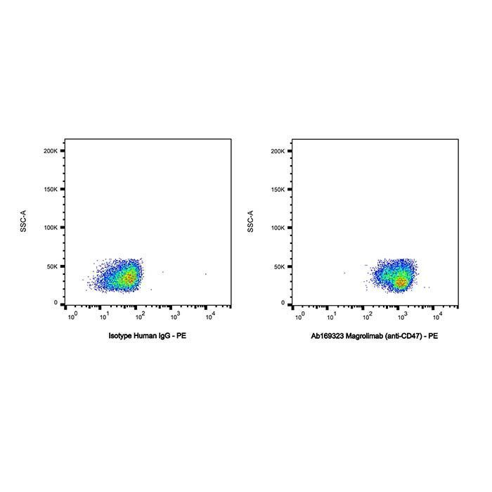 Magrolimab (anti-CD47) - Primary antibody >95% by Aladdin Scientific