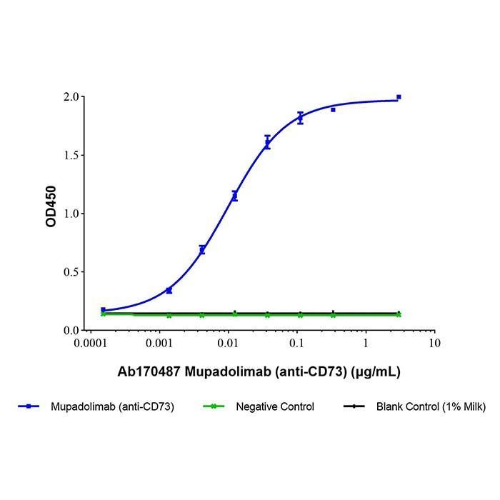 Mupadolimab (anti-CD73) - Primary antibody >95% by Aladdin Scientific