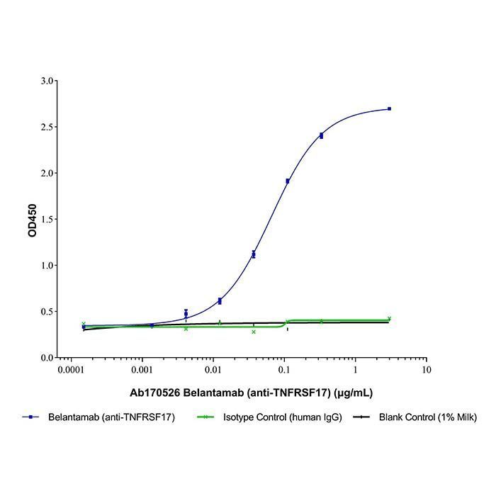 Belantamab (anti-TNFRSF17) - Primary antibody >95% by Aladdin Scientific