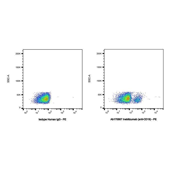 Inebilizumab (anti-CD19) - >95% by Aladdin Scientific